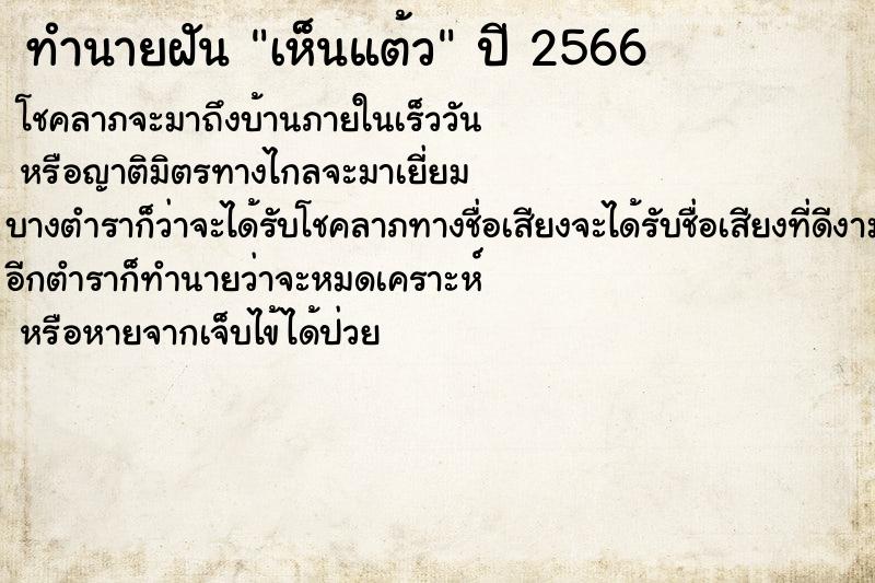 ทำนายฝัน เห็นแต้ว ทำนายฝัน เห็นแต้ว