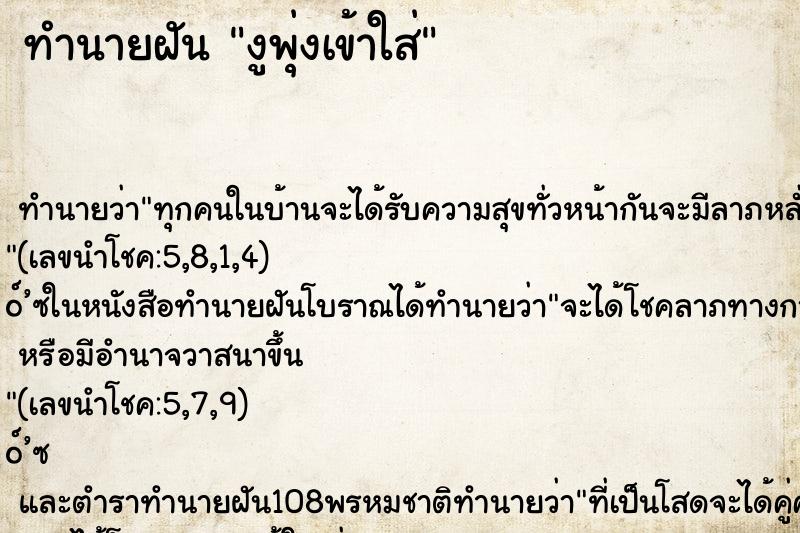 ทำนายฝัน งูพุ่งเข้าใส่ ทำนายฝัน งูพุ่งเข้าใส่