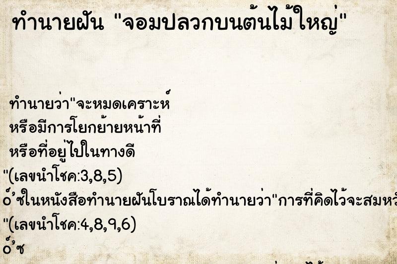 ทำนายฝันจอมปลวกบนต้นไม้ใหญ่ ทำนายฝันทำนายฝันจอมปลวกบนต้นไม้ใหญ่