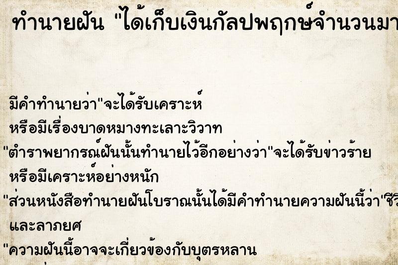 ทำนายฝันได้เก็บเงินกัลปพฤกษ์จำนวนมาก ทำนายฝันทำนายฝันได้เก็บเงินกัลปพฤกษ์จำนวนมาก