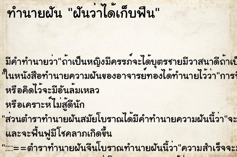ทำนายฝัน ฝันว่าได้เก็บฟืน ทำนายฝัน ฝันว่าได้เก็บฟืน