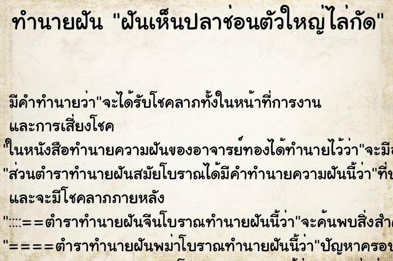 ทำนายฝันฝันเห็นปลาช่อนตัวใหญ่ไล่กัด ทำนายฝันทำนายฝันฝันเห็นปลาช่อนตัวใหญ่ไล่กัด
