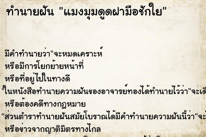 ทำนายฝัน แมงมุมดูดฝามือชักใย ทำนายฝัน แมงมุมดูดฝามือชักใย