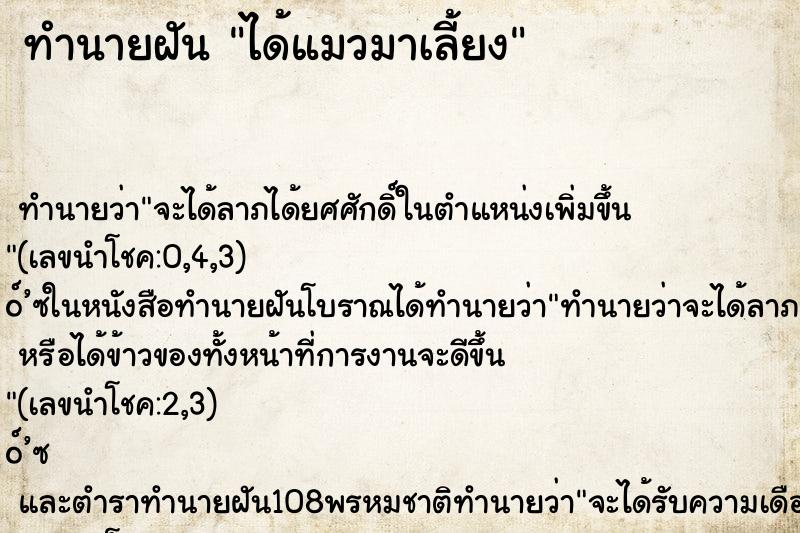 ทำนายฝัน ได้แมวมาเลี้ยง ทำนายฝัน ได้แมวมาเลี้ยง