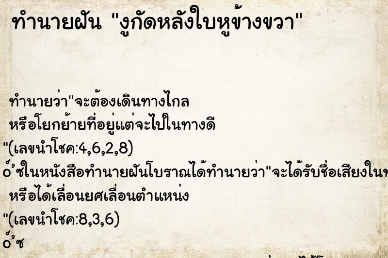 ทำนายฝัน งูกัดหลังใบหูข้างขวา ทำนายฝัน งูกัดหลังใบหูข้างขวา