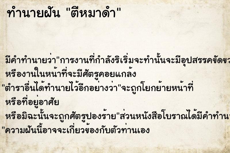 ทำนายฝัน ตีหมาดำ