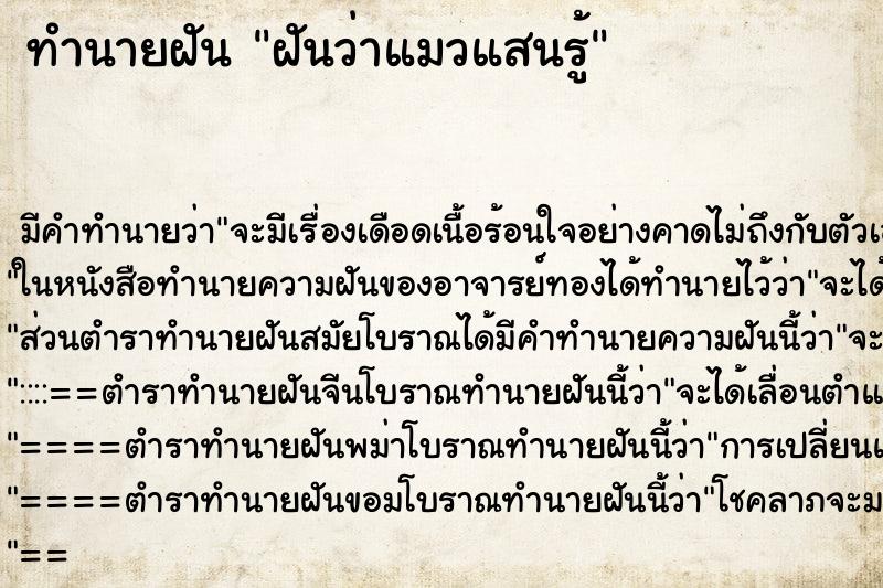 ทำนายฝันฝันว่าแมวแสนรู้ ทำนายฝันทำนายฝันฝันว่าแมวแสนรู้