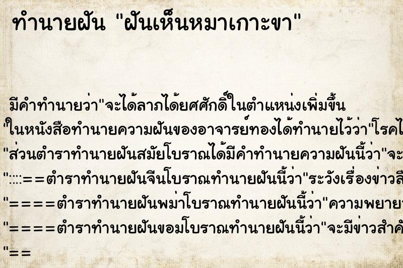 ทำนายฝัน ฝันเห็นหมาเกาะขา ตำราโบราณ แม่นที่สุดในโลก