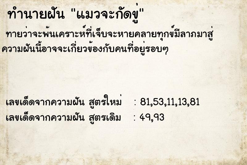 ทำนายฝันแมวจะกัดขู่ ทำนายฝันทำนายฝันแมวจะกัดขู่