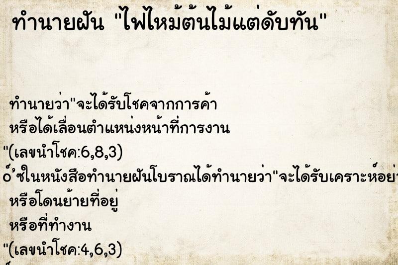 ทำนายฝัน ไฟไหม้ต้นไม้แต่ดับทัน ตำราโบราณ แม่นที่สุดในโลก