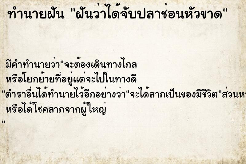 ทำนายฝันฝันว่าได้จับปลาช่อนหัวขาด ทำนายฝันทำนายฝันฝันว่าได้จับปลาช่อนหัวขาด
