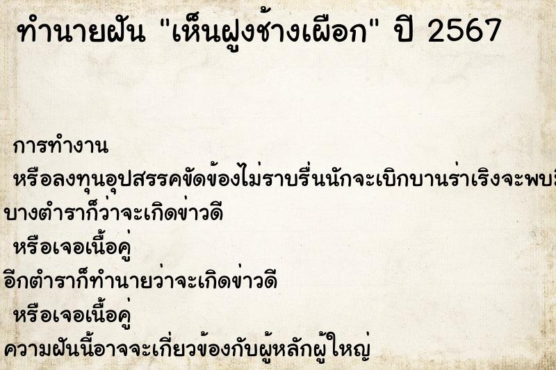 ทำนายฝันทำนายฝันเห็นฝูงช้างเผือก