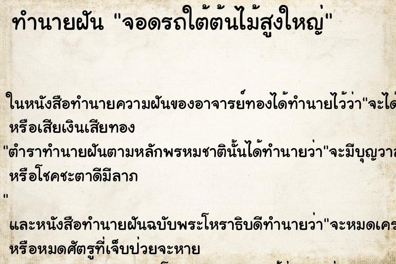 ทำนายฝัน จอดรถใต้ต้นไม้สูงใหญ่ ทำนายฝัน จอดรถใต้ต้นไม้สูงใหญ่