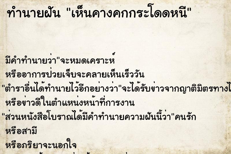 ทำนายฝัน เห็นคางคกกระโดดหนี ทำนายฝัน เห็นคางคกกระโดดหนี