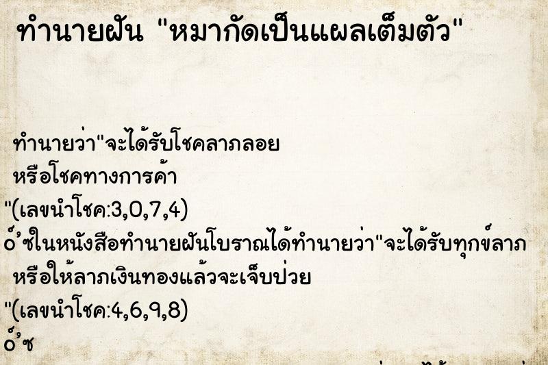 ทำนายฝันหมากัดเป็นแผลเต็มตัว ทำนายฝันทำนายฝันหมากัดเป็นแผลเต็มตัว