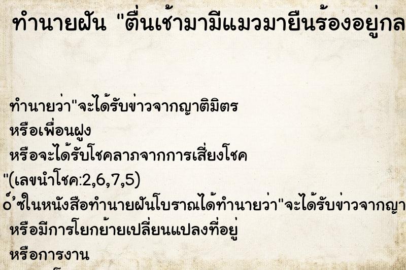 ทำนายฝันทำนายฝันตื่นเช้ามามีแมวมายืนร้องอยู่กลางบ้าน