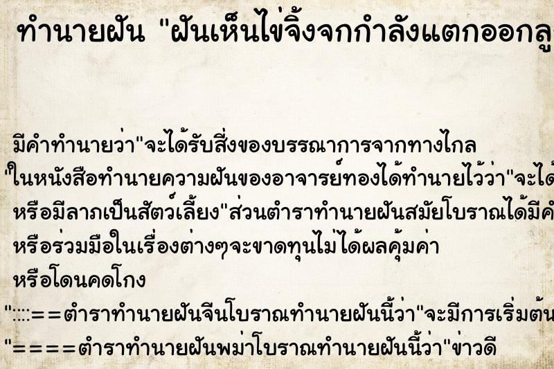 ทำนายฝัน ฝันเห็นไข่จิ้งจกกำลังแตกออกลูกเป็นตัว ตำราโบราณ แม่นที่สุดในโลก