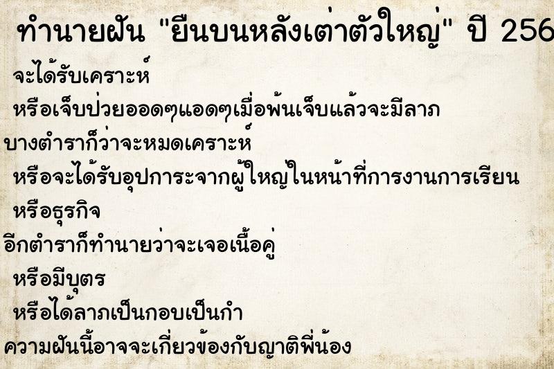 ทำนายฝันทำนายฝันยืนบนหลังเต่าตัวใหญ่