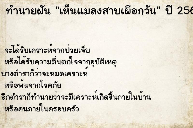 ทำนายฝัน เห็นแมลงสาบเผือกวัน ทำนายฝัน เห็นแมลงสาบเผือกวัน
