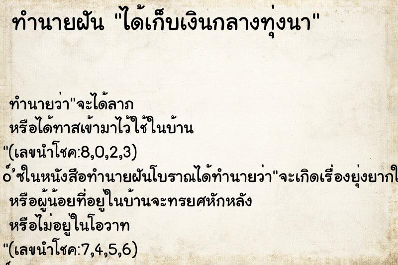 ทำนายฝันได้เก็บเงินกลางทุ่งนา ทำนายฝันทำนายฝันได้เก็บเงินกลางทุ่งนา