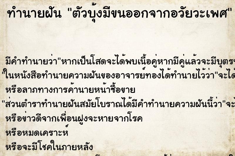ทำนายฝันตัวบุ้งมีขนออกจากอวัยวะเพศ ทำนายฝันทำนายฝันตัวบุ้งมีขนออกจากอวัยวะเพศ