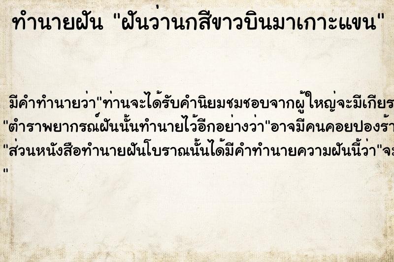 ทำนายฝัน ฝันว่านกสีขาวบินมาเกาะแขน ทำนายฝัน ฝันว่านกสีขาวบินมาเกาะแขน