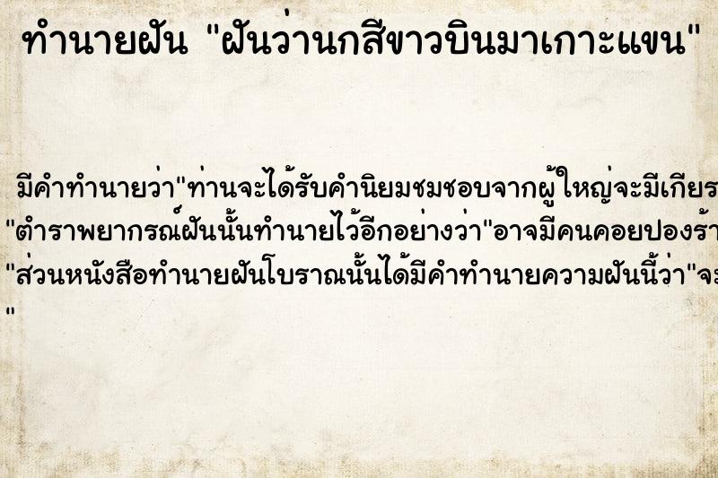 ทำนายฝัน ฝันว่านกสีขาวบินมาเกาะแขน ตำราโบราณ แม่นที่สุดในโลก