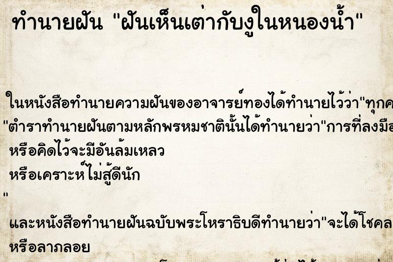 ทำนายฝันฝันเห็นเต่ากับงูในหนองน้ำ ทำนายฝันทำนายฝันฝันเห็นเต่ากับงูในหนองน้ำ