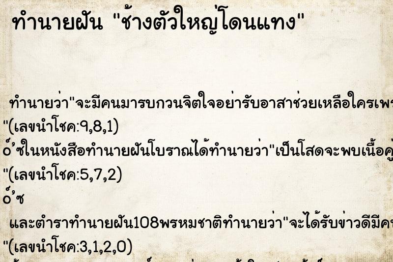 ทำนายฝันทำนายฝันช้างตัวใหญ่โดนแทง