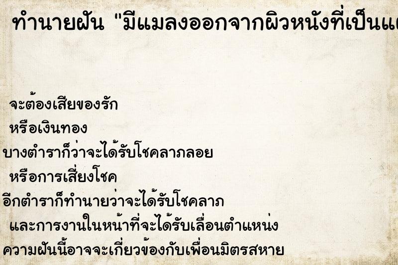 ทำนายฝันมีแมลงออกจากผิวหนังที่เป็นแผลโดนแมลงต่อย ทำนายฝันทำนายฝันมีแมลงออกจากผิวหนังที่เป็นแผลโดนแมลงต่อย