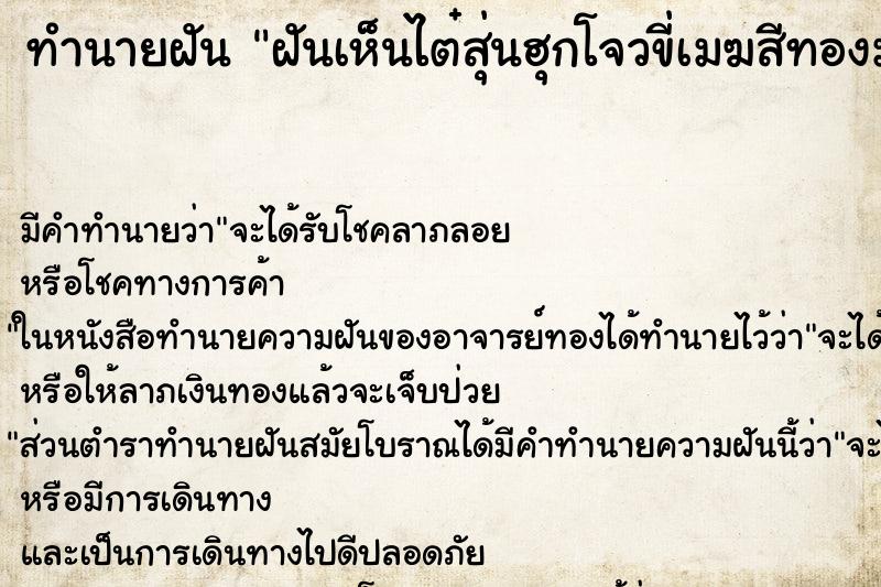 ทำนายฝันทำนายฝันฝันเห็นไต๋สุ่นฮุกโจวขี่เมฆสีทองมาหา