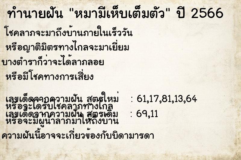 ทำนายฝัน หมามีเห็บเต็มตัว