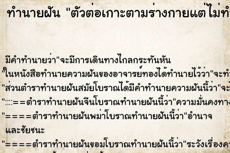 ทำนายฝันตัวต่อเกาะตามร่างกายแต่ไม่ทำร้าย ทำนายฝันทำนายฝันตัวต่อเกาะตามร่างกายแต่ไม่ทำร้าย