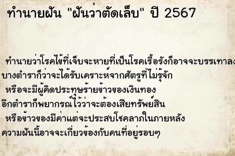 ทำนายฝันฝันว่าตัดเล็บ ทำนายฝันทำนายฝันฝันว่าตัดเล็บ