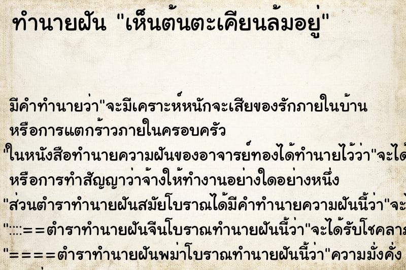 ทำนายฝันเห็นต้นตะเคียนล้มอยู่ ทำนายฝันทำนายฝันเห็นต้นตะเคียนล้มอยู่