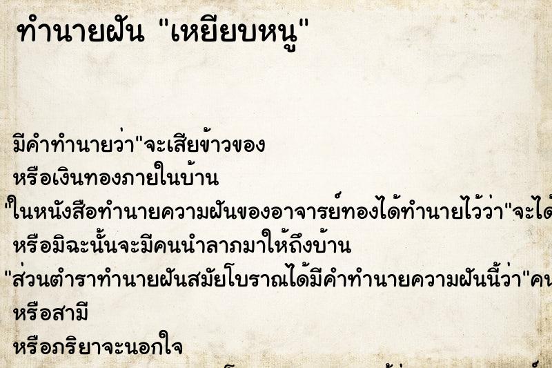 ทำนายฝันเหยียบหนู ทำนายฝันทำนายฝันเหยียบหนู