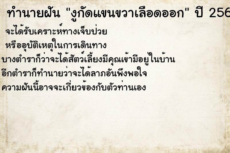 ทำนายฝัน งูกัดแขนขวาเลือดออก ตำราโบราณ แม่นที่สุดในโลก