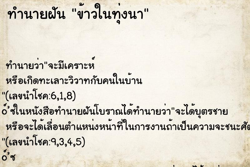 ทำนายฝัน ข้าวในทุ่งนา