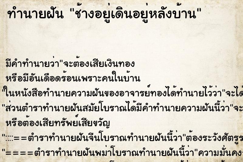ทำนายฝันทำนายฝันช้างอยู่เดินอยู่หลังบ้าน