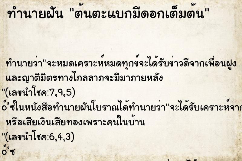 ทำนายฝันต้นตะแบกมีดอกเต็มต้น ทำนายฝันทำนายฝันต้นตะแบกมีดอกเต็มต้น