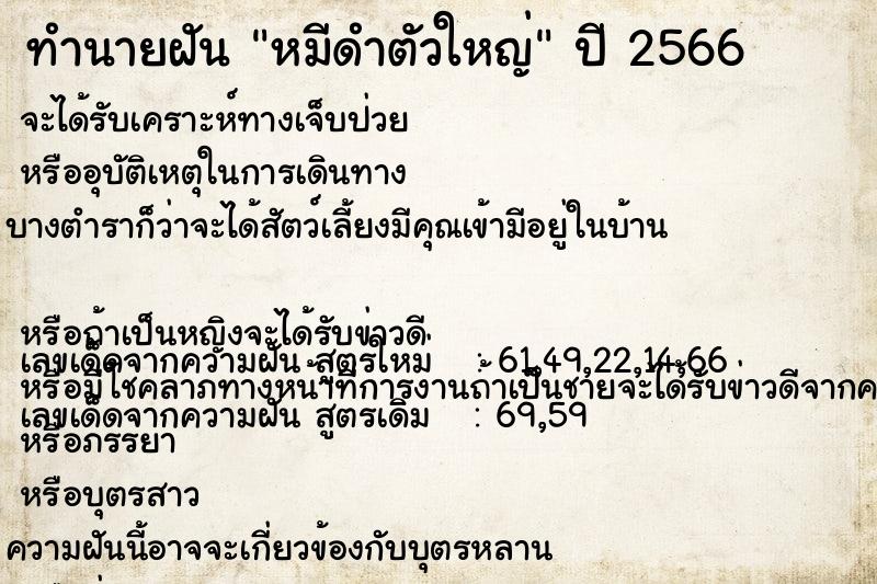 ทำนายฝันหมีดำตัวใหญ่ ทำนายฝันทำนายฝันหมีดำตัวใหญ่