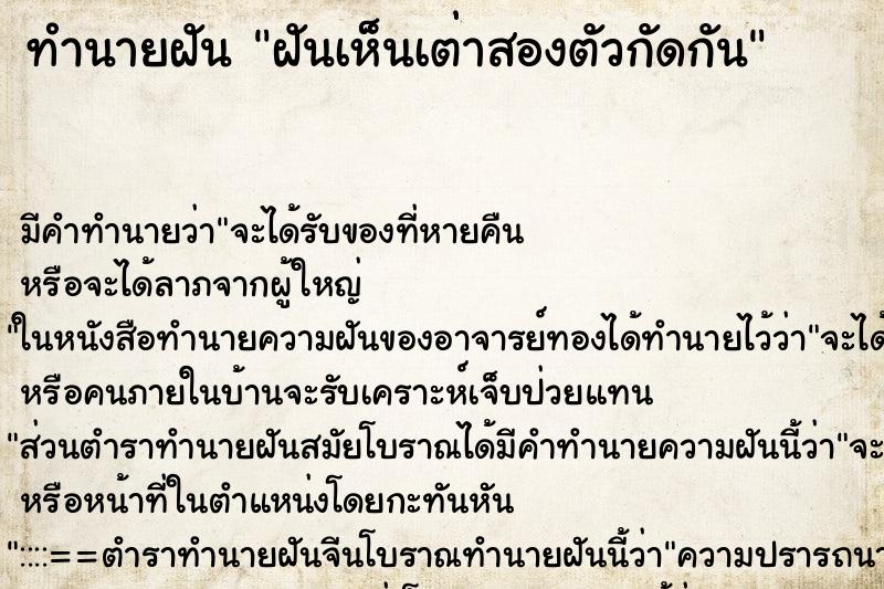 ทำนายฝันทำนายฝันฝันเห็นเต่าสองตัวกัดกัน