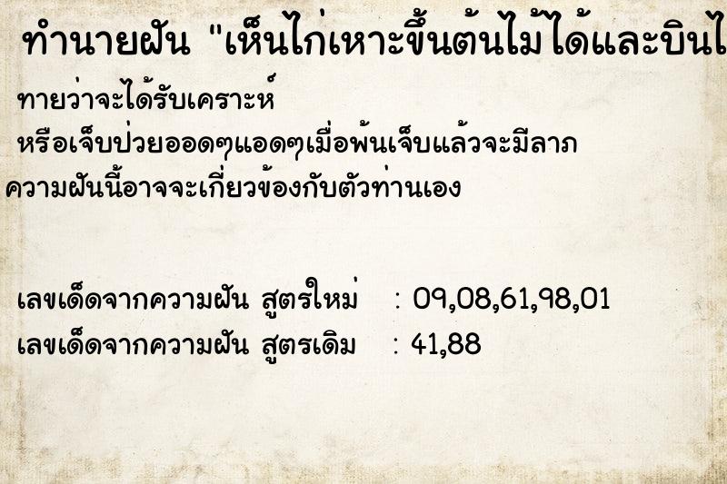 ทำนายฝันทำนายฝันเห็นไก่เหาะขึ้นต้นไม้ได้และบินได้ด้วย