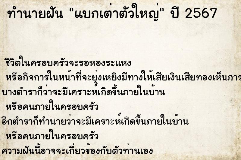 ทำนายฝัน แบกเต่าตัวใหญ่ ทำนายฝัน แบกเต่าตัวใหญ่