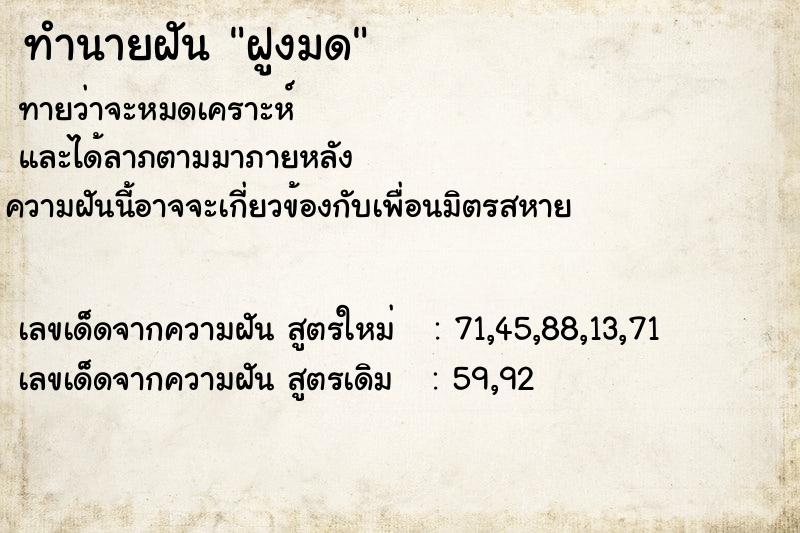 ทำนายฝัน ฝูงมด