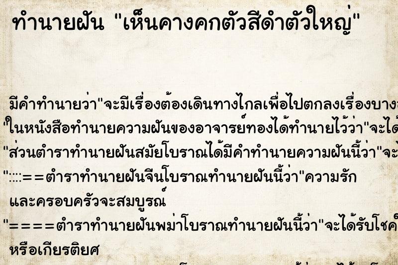 ทำนายฝัน เห็นคางคกตัวสีดำตัวใหญ่ ทำนายฝัน เห็นคางคกตัวสีดำตัวใหญ่