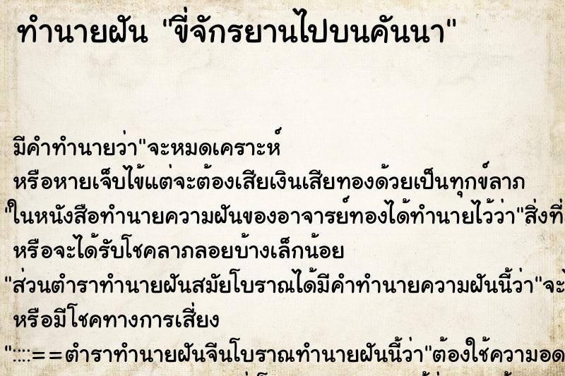 ทำนายฝัน ขี่จักรยานไปบนคันนา ทำนายฝัน ขี่จักรยานไปบนคันนา