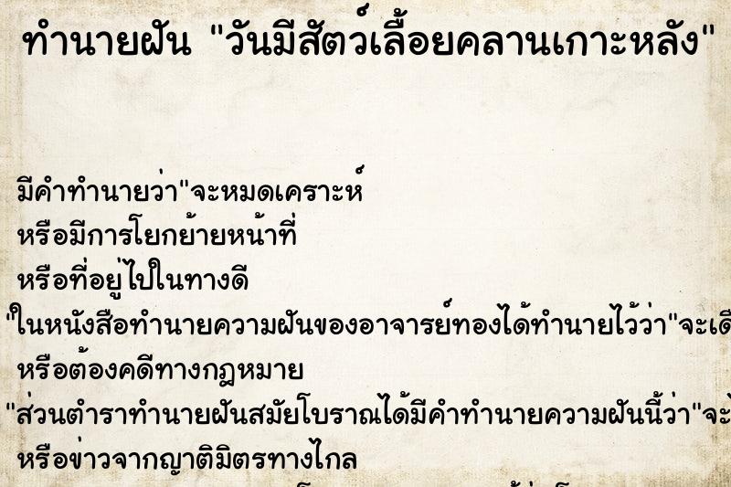 ทำนายฝันวันมีสัตว์เลื้อยคลานเกาะหลัง ทำนายฝันทำนายฝันวันมีสัตว์เลื้อยคลานเกาะหลัง
