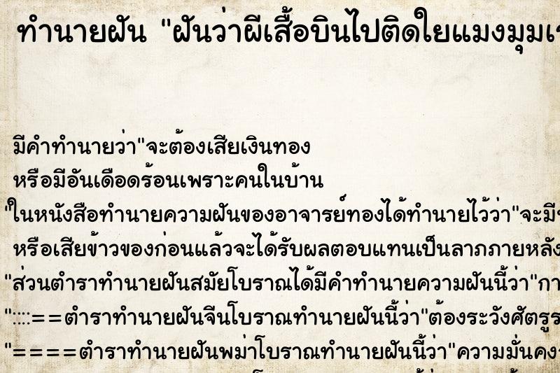 ทำนายฝันทำนายฝันฝันว่าผีเสื้อบินไปติดใยแมงมุมเราไปแกะออก