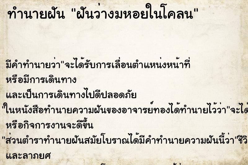 ทำนายฝันทำนายฝันฝันว่างมหอยในโคลน